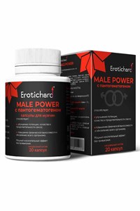 Биогенный комплекс растительных экстрактов для мужчин Erotichard® male power, в капсулах с пантогематогеном