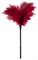 Пластиковая метелочка с красными пёрышками Small Feather Tickler - 32 см. - фото 399548