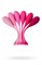Набор из 6 розовых вагинальных шариков Eromantica K-ROSE - фото 407011