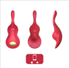 Вибратор в трусики CNT Take Over-The Violin CNT-580005R